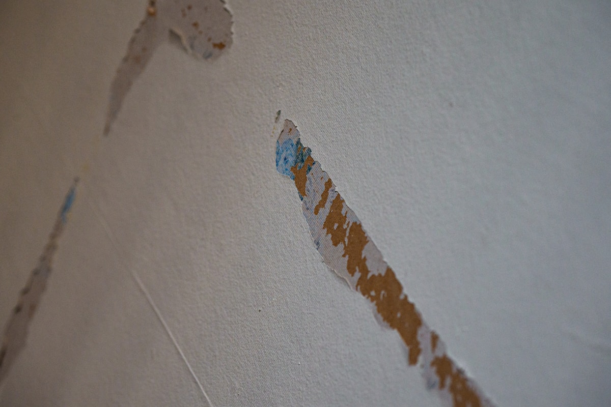 Water Extraction service in Chesapeake, VA